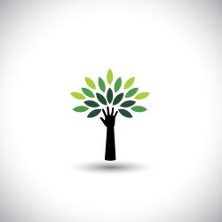 Sole Member Nonprofits Complicate Directors’ Fiduciary Duties